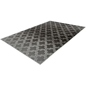 Arte Espina Monroe 100 - Tapis en peluche anthracite - Publicité Arte Espina Monroe 100 - Tapis en peluche anthracite - Publicité
