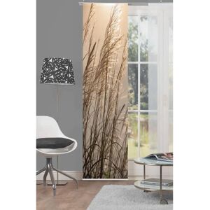 Home Living 'Caruso' Beige Sliding Curtain - Sliding Curtain Home Living 'Caruso' Beige Sliding Curtain - Sliding Curtain