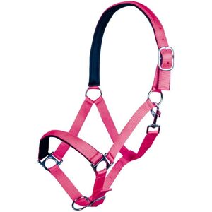 HKM SPORT EQUIPMENT Stars Softice - Shetland - Fuchsia Néon - Licol - Publicité HKM SPORT EQUIPMENT Stars Softice - Shetland - Fuchsia Néon - Licol - Publicité