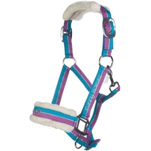 HKM Shetland Nylon Head Collar - Padded Nose & Headpiece HKM Shetland Nylon Head Collar - Padded Nose & Headpiece
