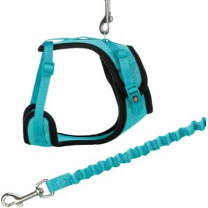 Laisse Trixie pour chien/chat - Harnais Y en mesh & laisse - Publicité Laisse Trixie pour chien/chat - Harnais Y en mesh & laisse - Publicité