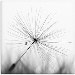 ARTLAND Pusteblume Schirmchen Wandbild - Leinwand, Aluminium, Poster ARTLAND Pusteblume Schirmchen Wandbild - Leinwand, Aluminium, Poster
