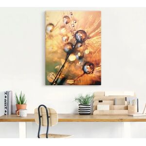 ARTLAND Pusteblume Energy - Wandbild ARTLAND Pusteblume Energy - Wandbild