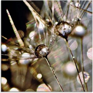 ARTLAND Pusteblume mit Wasserperlen Glasbild - Wanddekoration ARTLAND Pusteblume mit Wasserperlen Glasbild - Wanddekoration