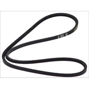DT Spare Parts AVX13X1520 - Set di cinghie trapezoidali DT Spare Parts AVX13X1520 - Set di cinghie trapezoidali