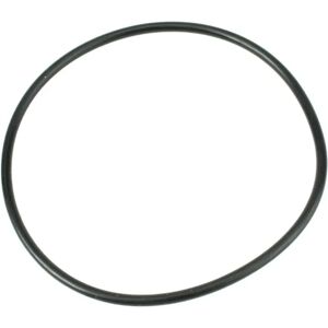 DT SPARE PARTS 4.20329 O-ring - O-ring DT SPARE PARTS 4.20329 O-ring - O-ring