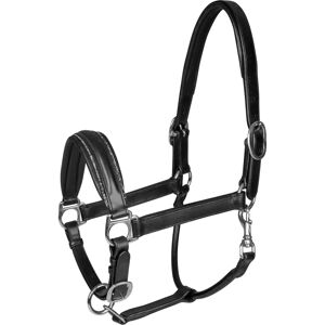 Halter Glamour S-Line Waldhausen - Cuir Noir Élégant - Publicité Halter Glamour S-Line Waldhausen - Cuir Noir Élégant - Publicité