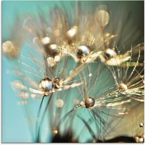 ARTLAND Glasbild Pusteblume glänzendes Gold - 40x40 cm, blau, quadratisch ARTLAND Glasbild Pusteblume glänzendes Gold - 40x40 cm, blau, quadratisch