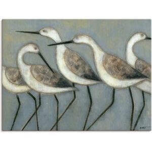 ARTLAND - Küstenvögel I - 40 cm x 30 cm - grau - Wall art ARTLAND - Küstenvögel I - 40 cm x 30 cm - grau - Wall art