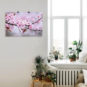 ARTLAND - Kirschblüten - pink - 90x60 cm - Wall art ARTLAND - Kirschblüten - pink - 90x60 cm - Wall art