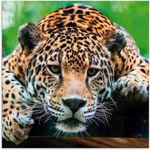 ARTLAND Südamerikanischer Jaguar - Wildtiere Glasbild 40x40 cm ARTLAND Südamerikanischer Jaguar - Wildtiere Glasbild 40x40 cm
