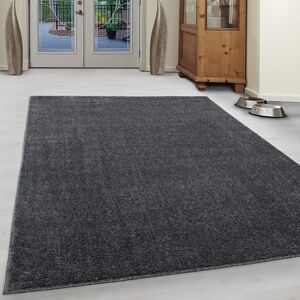 Ayyildiz Hali ATA2002907000GREY Teppich - Rechteckiger Polypropylen Grau 200x290cm Ayyildiz Hali ATA2002907000GREY Teppich - Rechteckiger Polypropylen Grau 200x290cm