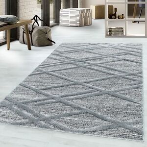 Ayyildiz Grauer Rechteck-Teppich - Langlebig Polypropylen, 160x230cm Ayyildiz Grauer Rechteck-Teppich - Langlebig Polypropylen, 160x230cm