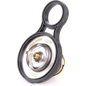 RIDEX Modèle 316T0075 - Thermostat - Publicité RIDEX Modèle 316T0075 - Thermostat - Publicité