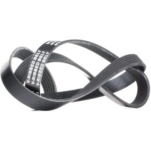 RIDEX Modèle 305P0082 - Courroie trapézoïdale pour Audi, Mercedes-Benz, BMW - Publicité RIDEX Modèle 305P0082 - Courroie trapézoïdale pour Audi, Mercedes-Benz, BMW - Publicité