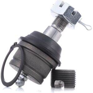 RIDEX Articulation de suspension Jeep - 2462S0252 - Supérieure/Inférieure, Essieu avant - Publicité RIDEX Articulation de suspension Jeep - 2462S0252 - Supérieure/Inférieure, Essieu avant - Publicité
