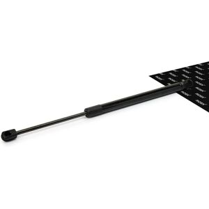 RIDEX Renault Clio IV Amortisseur de capot - Hood Lift Support - Publicité RIDEX Renault Clio IV Amortisseur de capot - Hood Lift Support - Publicité