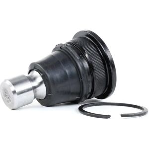 RIDEX Renault Nissan Rotule de suspension inférieure - Pièce de suspension - Publicité RIDEX Renault Nissan Rotule de suspension inférieure - Pièce de suspension - Publicité