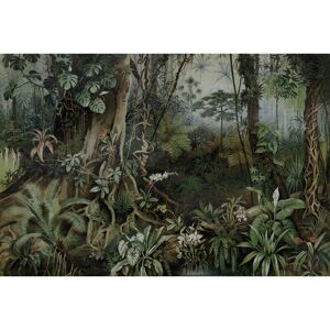 Murale Jungle Tropical Livingwalls - Grand Format, Écologique, Facile à Installer - Publicité Murale Jungle Tropical Livingwalls - Grand Format, Écologique, Facile à Installer - Publicité
