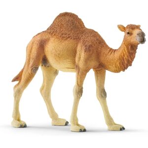 Παιχνίδι Δρομέδαρος της Schleich - Παιχνίδι για παιδιά Παιχνίδι Δρομέδαρος της Schleich - Παιχνίδι για παιδιά