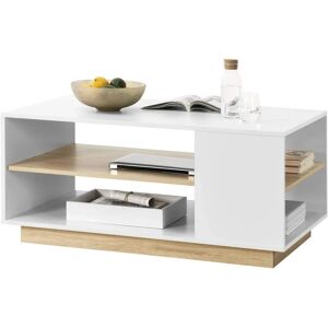 en.casa Mesa de Centro Trelleborg - 46x100x60cm - Rectangular con 2 Estantes en.casa Mesa de Centro Trelleborg - 46x100x60cm - Rectangular con 2 Estantes