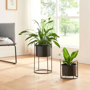es: en.casa Juego de 2 Soportes para Plantas Osen en Metal Negro - Moderno y Elegante es: en.casa Juego de 2 Soportes para Plantas Osen en Metal Negro - Moderno y Elegante