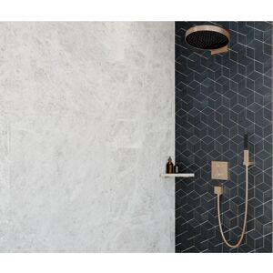 Hansgrohe Focus (31815) - 31815670 Hansgrohe Focus (31815) - 31815670