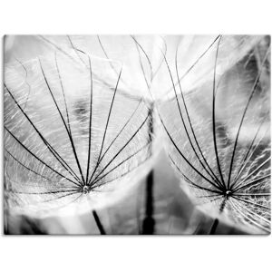 ARTLAND Pusteblume in schwarzweiß - Wandbild ARTLAND Pusteblume in schwarzweiß - Wandbild