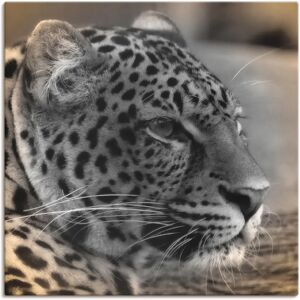 ARTLAND Leopard Profil Leinwandbild - Wildtiere, Grau, 70x70 cm ARTLAND Leopard Profil Leinwandbild - Wildtiere, Grau, 70x70 cm
