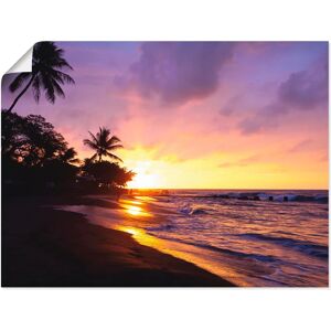 ARTLAND - Tropischer Strand - 40 cm x 30 cm - Lila - Wandbild ARTLAND - Tropischer Strand - 40 cm x 30 cm - Lila - Wandbild
