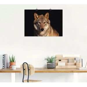 ARTLAND - Wolf - 70x50 cm - Braun - Wandkunst ARTLAND - Wolf - 70x50 cm - Braun - Wandkunst