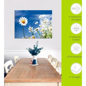 ARTLAND Gänseblümchen Glasbild - Blumenwiese - Innenraumdeko ARTLAND Gänseblümchen Glasbild - Blumenwiese - Innenraumdeko