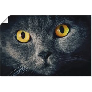 ARTLAND - Katzenaugen - Schwarz - 30 x 20 cm - Wall art ARTLAND - Katzenaugen - Schwarz - 30 x 20 cm - Wall art