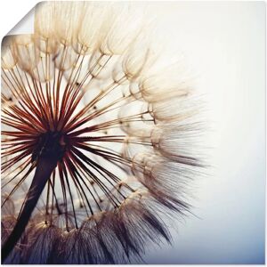 ARTLAND - Große Pusteblume - 70x70 cm - Blau - Wandkunst ARTLAND - Große Pusteblume - 70x70 cm - Blau - Wandkunst