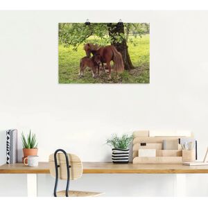 ARTLAND Pony - Mutterglück - 60x40 cm - Alu-Dibond - Wandbild ARTLAND Pony - Mutterglück - 60x40 cm - Alu-Dibond - Wandbild