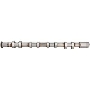 AE 06D109102AK Árbol de levas - Pieza de motor para VW, Audi, Seat, Skoda AE 06D109102AK Árbol de levas - Pieza de motor para VW, Audi, Seat, Skoda