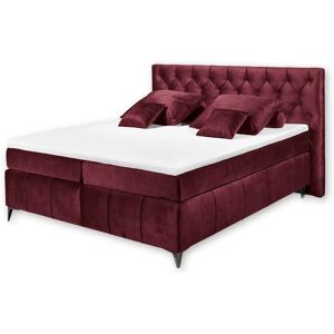 ED EXCITING DESIGN Pembroke Boxspringbett - Mikrofaser, Burgund ED EXCITING DESIGN Pembroke Boxspringbett - Mikrofaser, Burgund