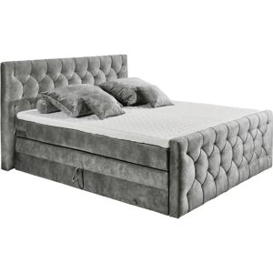 ED EXCITING DESIGN Cashfield Microvelours Boxspringbett - Boxspringbett ED EXCITING DESIGN Cashfield Microvelours Boxspringbett - Boxspringbett