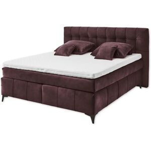 ED EXCITING DESIGN Oregon Boxspringbett - Microvelours, 180x200 cm ED EXCITING DESIGN Oregon Boxspringbett - Microvelours, 180x200 cm