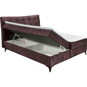 ED EXCITING DESIGN Melrose Lila Microvelours - Boxspringbett ED EXCITING DESIGN Melrose Lila Microvelours - Boxspringbett