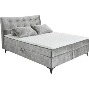 ED EXCITING DESIGN Melrose Microvelours Bett - Boxspringbett ED EXCITING DESIGN Melrose Microvelours Bett - Boxspringbett