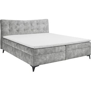 ED EXCITING DESIGN Melrose Microvelours Boxspringbett - Boxspring bed ED EXCITING DESIGN Melrose Microvelours Boxspringbett - Boxspring bed