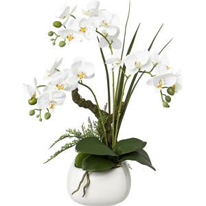 KaiserKraft Phalaenopsis - Real Touch, 460mm, Weiß - Kunstpflanze KaiserKraft Phalaenopsis - Real Touch, 460mm, Weiß - Kunstpflanze