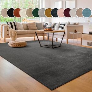 PACO HOME Kurzflorteppich - Weich, Waschbar, Grau 60x100cm PACO HOME Kurzflorteppich - Weich, Waschbar, Grau 60x100cm