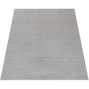 PACO HOME Porto 890 Silber Teppich - Teppich PACO HOME Porto 890 Silber Teppich - Teppich