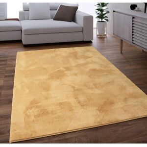 PACO HOME Langhaar Teppich - Weiche Plüschmatte für Wohnzimmer PACO HOME Langhaar Teppich - Weiche Plüschmatte für Wohnzimmer