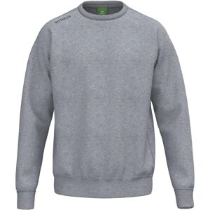 Erima Sweatshirt - Basic Grijs voor Mannen en Vrouwen - Sweatshirt Erima Sweatshirt - Basic Grijs voor Mannen en Vrouwen - Sweatshirt