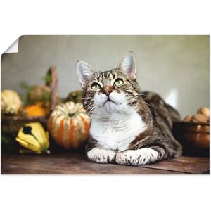ARTland - Katze Herbstdeko - beige - 30x20 cm - Wall art ARTland - Katze Herbstdeko - beige - 30x20 cm - Wall art