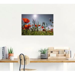 ARTLAND Mohnblumenwiese - Outdoor Wandbild ARTLAND Mohnblumenwiese - Outdoor Wandbild