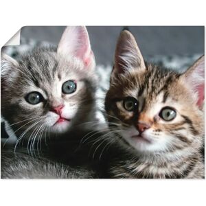 ARTLAND - Katze - 80x60 cm - Grau - Wandkunst ARTLAND - Katze - 80x60 cm - Grau - Wandkunst